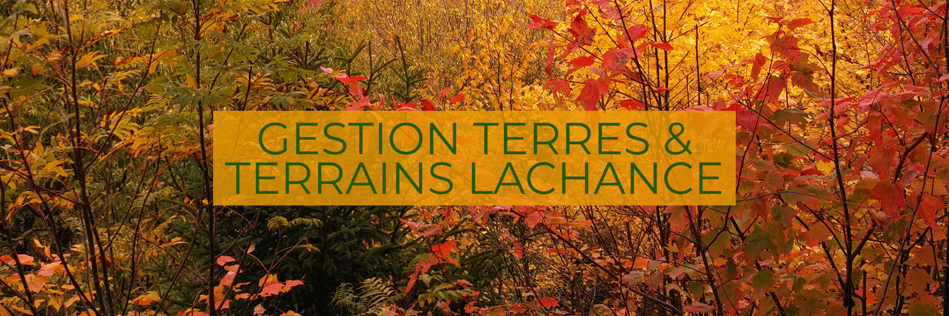 GESTION TERRES & TERRAINS LACHANCE
Entretien d'arbres dans la région de Portneuf et de Québec